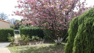 Le Clos Sainte Lea - Mouilleron-le-Captif - 7