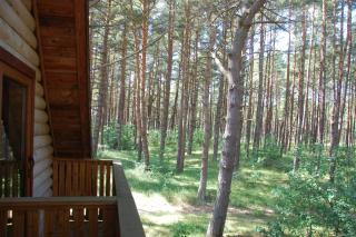 Edmundas - Palanga - 8