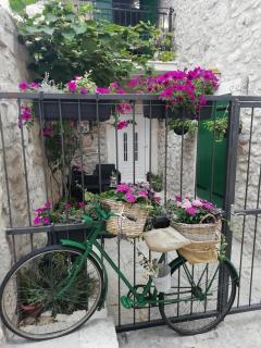 Apartman Teta Jadre - Makarska - 8