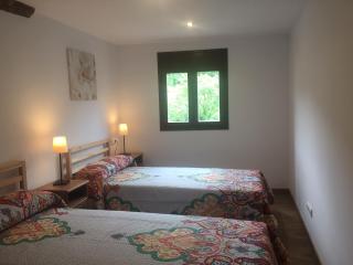 Precioso apartamento centro pueblo - Ribes de Freser - 0
