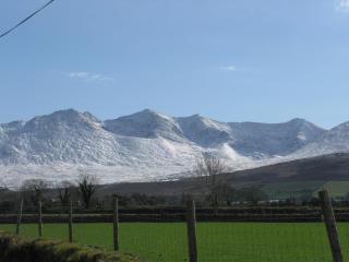 Farmstead Lodge B&B - 6