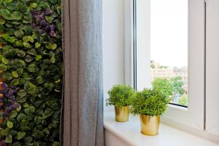 Dietla 99 - Studio by Homeprime - 7