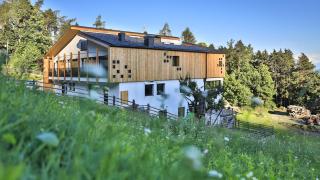 Ladurner - Algund - 2