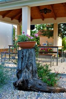 Holiday Home Rokoko - 9