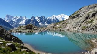 Chamois Blanc - 1