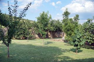 Tourist farm with Apartments Fig tree - Dekani - 3