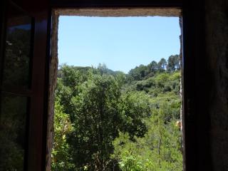 My Room – Villa Vina ® - TER - Monchique - 3