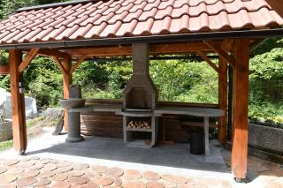 Vila Kosca - apartments for rent - Dedni Dol - 1