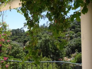 My Room – Villa Vina ® - TER - Monchique - 4