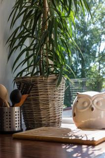 Central line apartment - Ventspils - 0