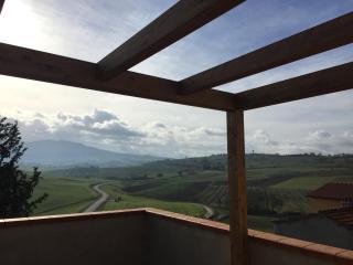Poggio alla Pietra 26 - Porrona - 2