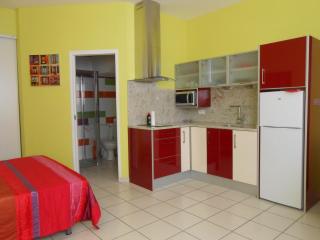 Les Mimosas - Amélie-les-Bains-Palalda - 0