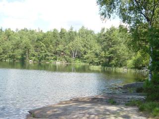 Karlstugan Cottage - Vimmerby - 2