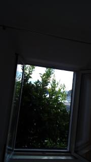 Guest House Roza - Vrboska - 3
