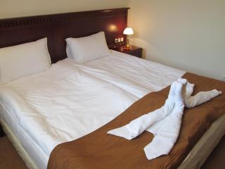 Downtown Alexander Services Apartments - Bansko - 2