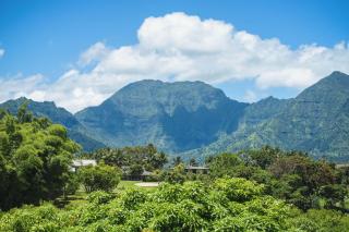 Plantations at Princeville #1312 - Princeville - 3