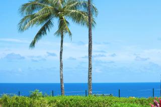 Plantations at Princeville #1312 - Princeville - 1