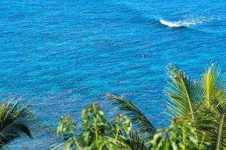 Pali Ke Kua #8 - Princeville - 1