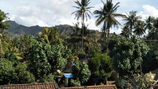 Bali Sari Homestay - Amed - 4