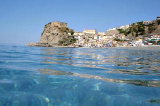 BB Oasis - Scilla - 8