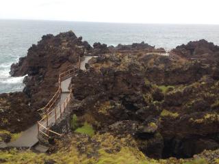 AL - Adega do Terra - 6