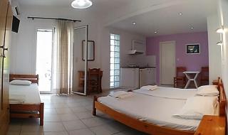 Araliki Apartments & Studios - Loutra Edipsou - 4