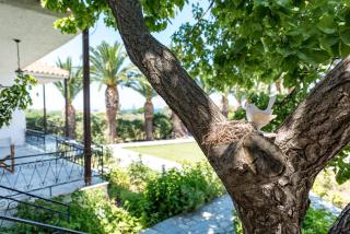 Pavlimari Studios - 2