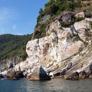 Camping OASI - Marina di Massa - 2
