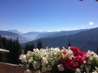 Simal Alm - Saalbach-Hinterglemm - 8