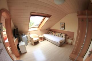 Hotel Schmid - Bad Bellingen - 6