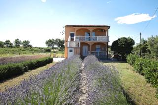 Apartment Sapavac - Vir - 0