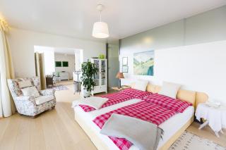 Apartments Villa Traunseeblick - Gmunden - 7