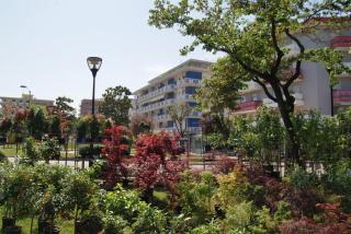 Appartamenti Residence Marcello-Piazza Torino-Lido di Jesolo - Lido di Jesolo - 0