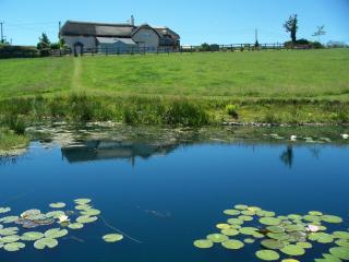 Fernside Bed and Breakfast - 5