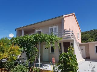 Apartments Andelic - Sveti Filip i Jakov - 3