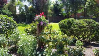 Wohnung 1 Haus- Annegrete mit überdachter Terrasse zum Garten - Bensersiel - 1