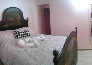 Agriturismo Nonni Devia - Lucinasco - 1