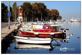Apartment and Room Soul of Dalmatia - Zadar - 8