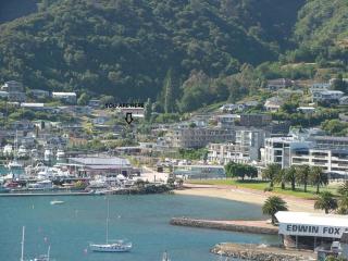 3 & 4 Bedroom Holiday Houses Central Picton - Picton - 0