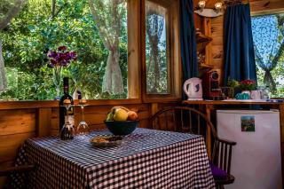 Spa in The Woods - B&B in Amirim - Amirim - 9
