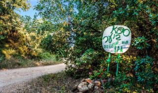 Spa in The Woods - B&B in Amirim - 4