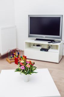 Apartament Blue Point 102 PREMIUM - Colberga - 2