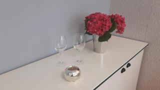 ARS VIP Apartment - Novi Sad - 1