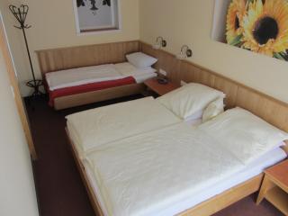 Pension Zur Alten Schmiede - Zwiesel - 1