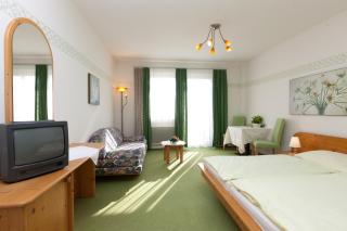 Weststeirischer Hof - Bad Gams - 3