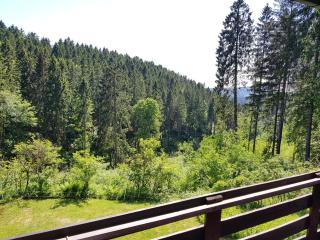 Fewo Waldblick - Sankt Andreasberg - 2