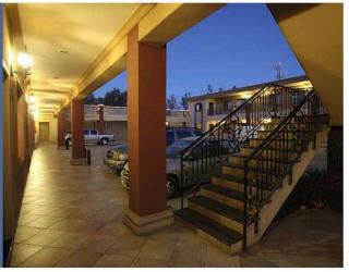 Hotel Plaza las Quintas - Hermosillo - 3