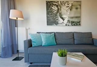 IRS ROYAL APARTMENTS Apartamenty IRS Albatros - Danzig - 9