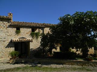 Azienda Agrituristica Colle San Giorgio - Castiglione Messer Raimondo - 0