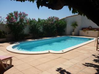 Soleil De Camargue - Le Sambuc - 9
